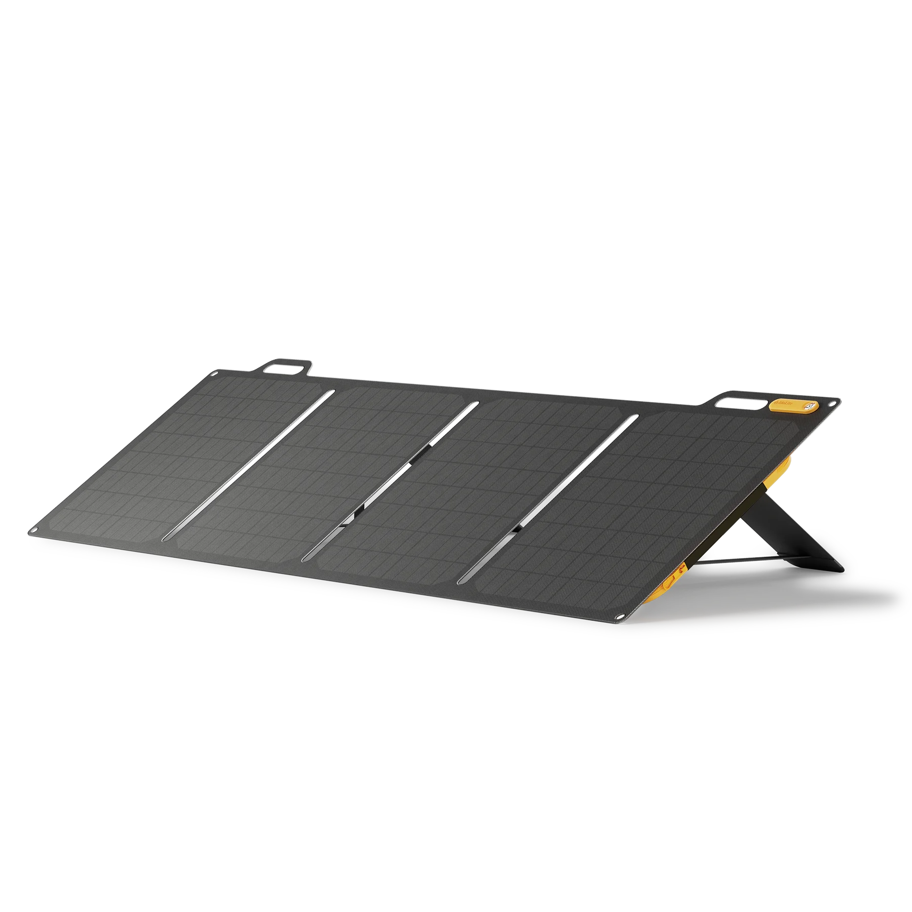 BioLite SolarPanel 100
